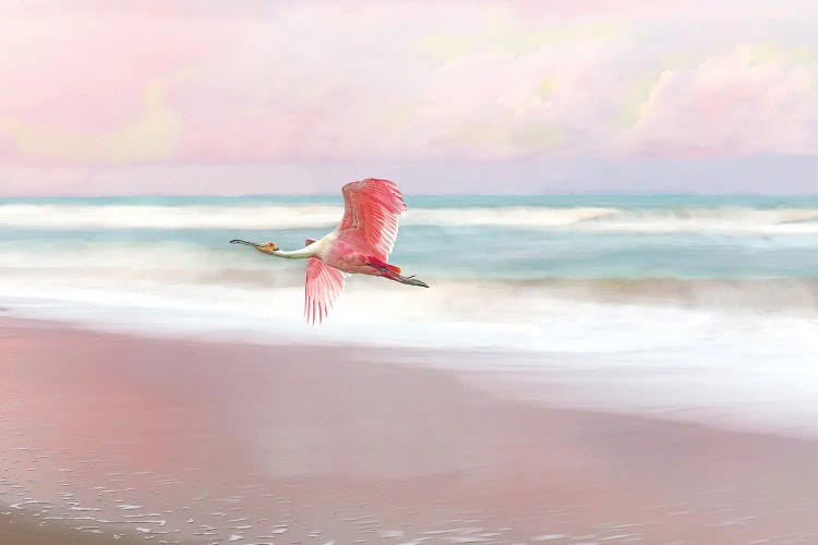 Roseate Spoonbill And Pink Sunset by Laura D Young wall art