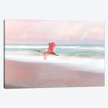 Roseate Spoonbill And Pink Sunset Canvas Print #LDY87} by Laura D Young Canvas Print