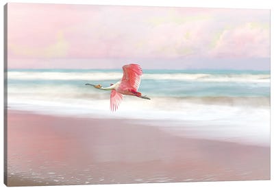 Roseate Spoonbill And Pink Sunset Canvas Art Print - Laura D Young