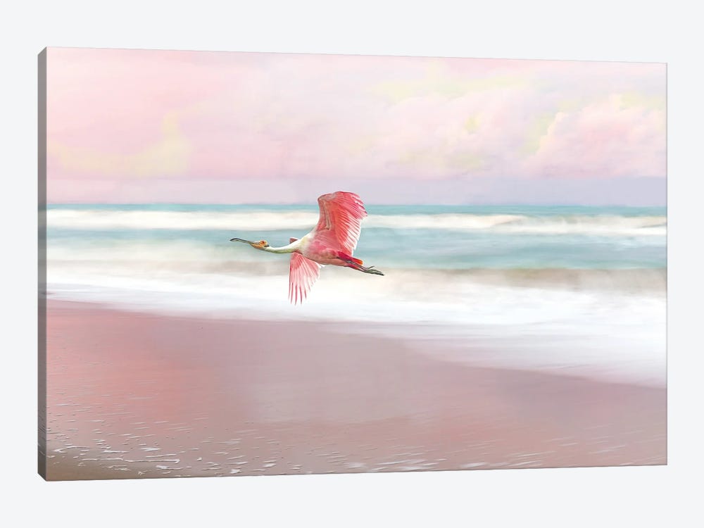 Roseate Spoonbill And Pink Sunset by Laura D Young 1-piece Canvas Wall Art