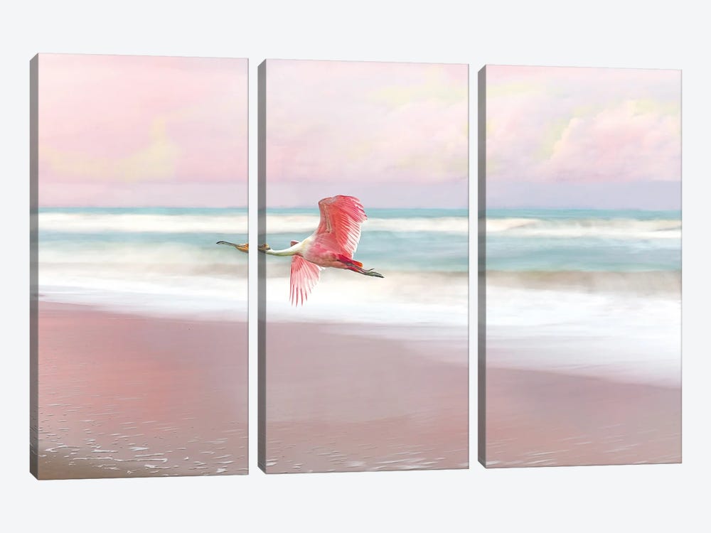 Roseate Spoonbill And Pink Sunset by Laura D Young 3-piece Canvas Artwork