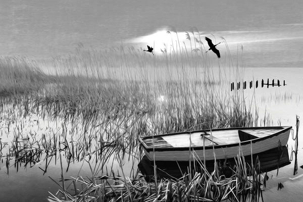 Laura D Young: Lone Boat In Ocean Marshes by Laura D Young