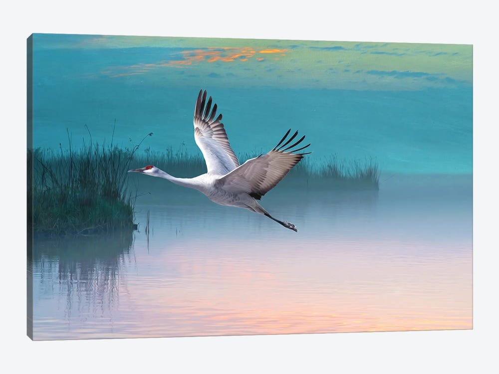 Sandhill Crane In Misty Marshes by Laura D Young 1-piece Canvas Artwork