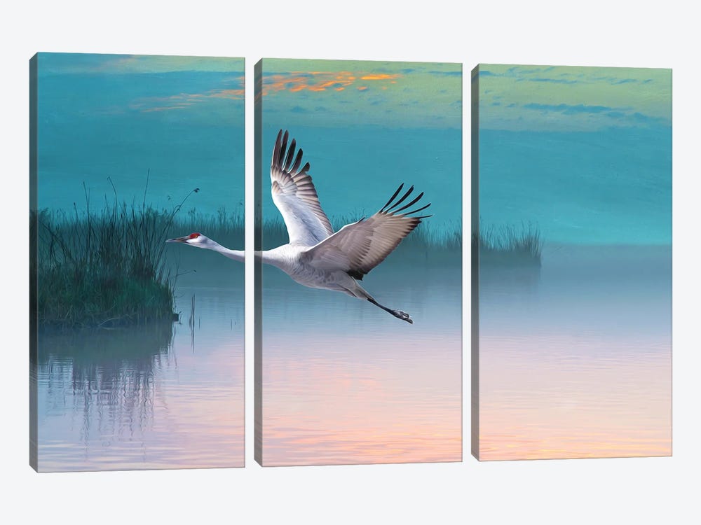 Sandhill Crane In Misty Marshes by Laura D Young 3-piece Canvas Artwork