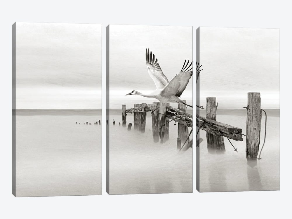 Sandhill Crane In Flight At Old Dock by Laura D Young 3-piece Canvas Wall Art