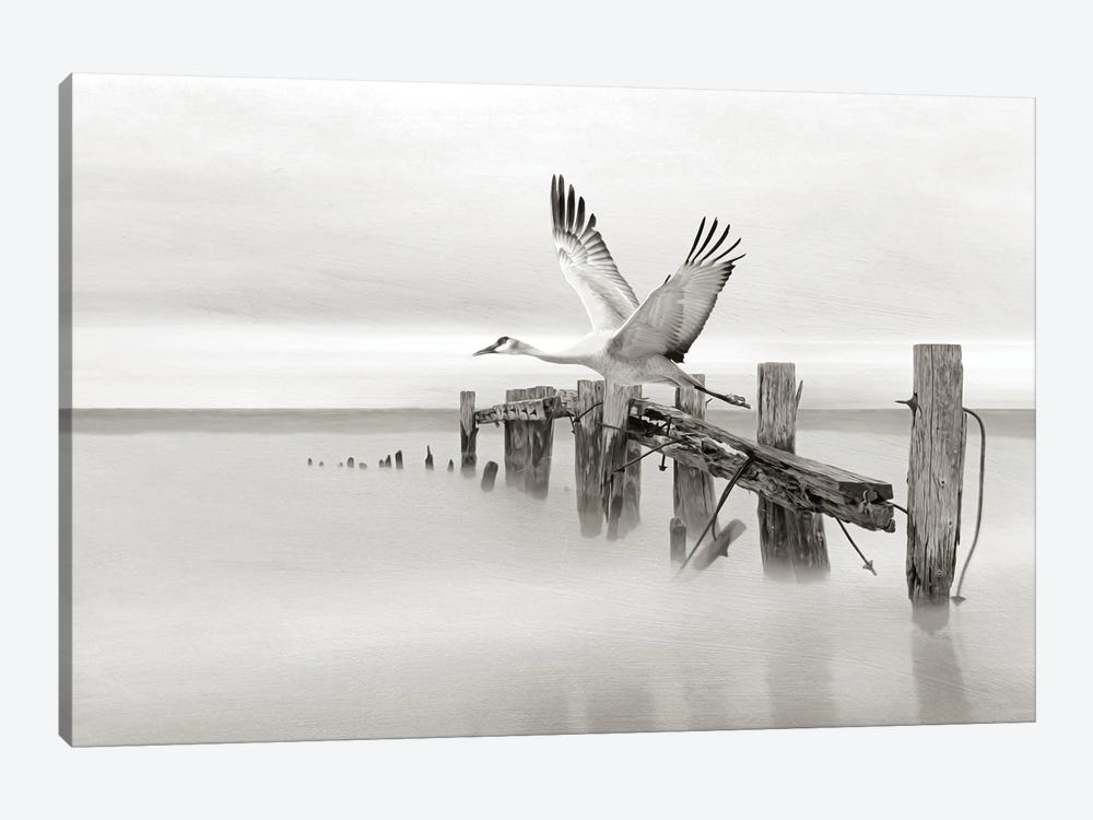 Sandhill Crane In Flight At Old Dock by Laura D Young 1-piece Canvas Wall Art