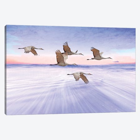 Sandhill Cranes And Purple Sunset Canvas Print #LDY91} by Laura D Young Canvas Print