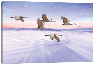 Sandhill Cranes And Purple Sunset Canvas Art Print - Laura D Young