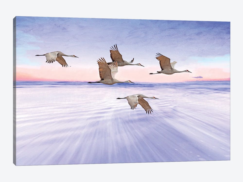 Sandhill Cranes And Purple Sunset by Laura D Young 1-piece Canvas Art Print