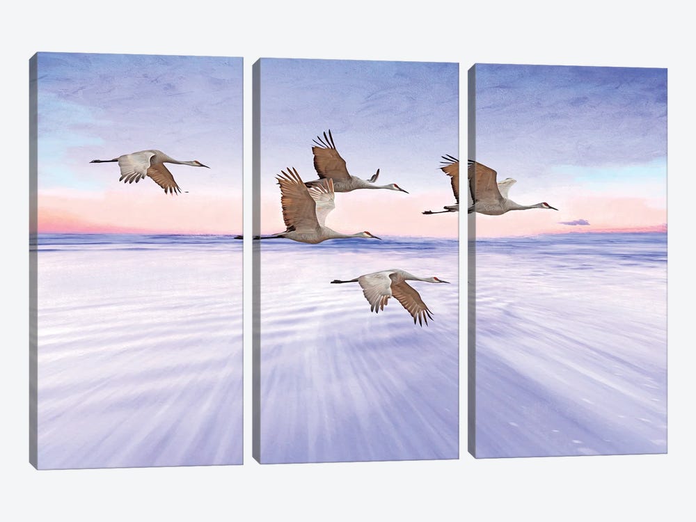 Sandhill Cranes And Purple Sunset by Laura D Young 3-piece Art Print