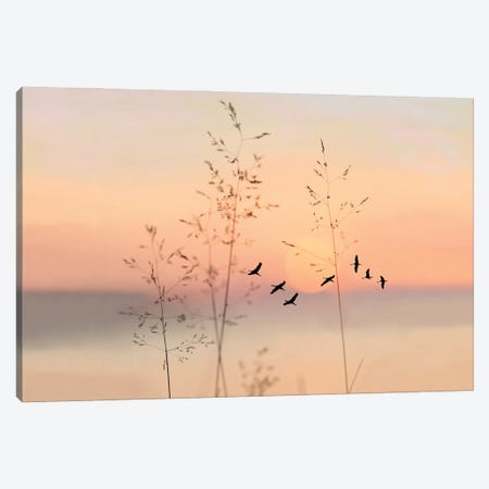 Sandhill Crane Silhouettes At Sunset Canvas Print #LDY92} by Laura D Young Canvas Print