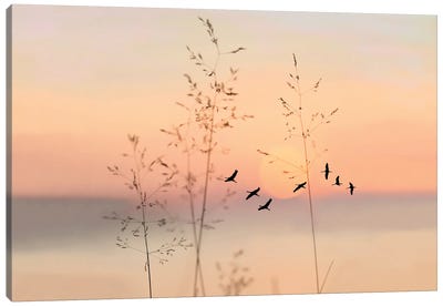 Sandhill Crane Silhouettes At Sunset Canvas Art Print - Marsh & Swamp Art