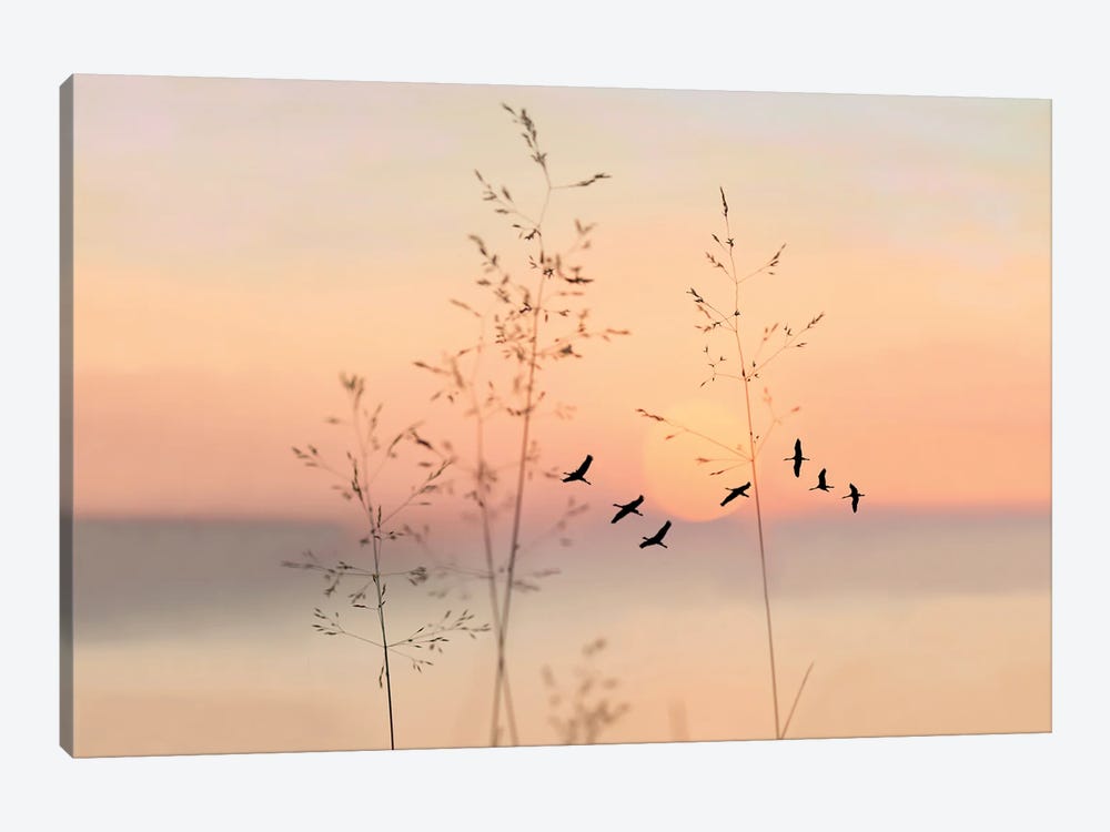 Sandhill Crane Silhouettes At Sunset by Laura D Young 1-piece Canvas Art