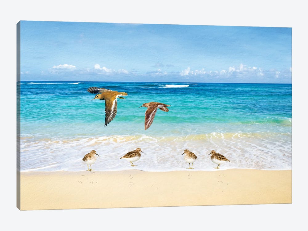 Sandpiper Ocean Beach Party by Laura D Young 1-piece Art Print