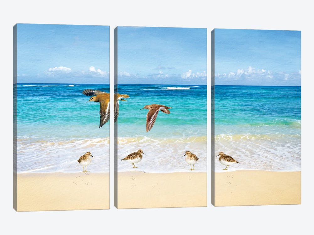 Sandpiper Ocean Beach Party by Laura D Young 3-piece Canvas Art Print