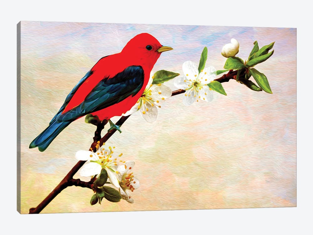 Scarlet Tanager On Apricot Branch by Laura D Young 1-piece Canvas Artwork