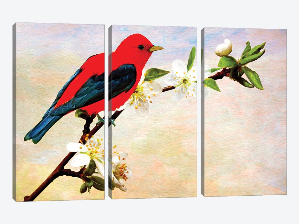 Scarlet Tanager On Apricot Branch by Laura D Young 3-piece Canvas Artwork