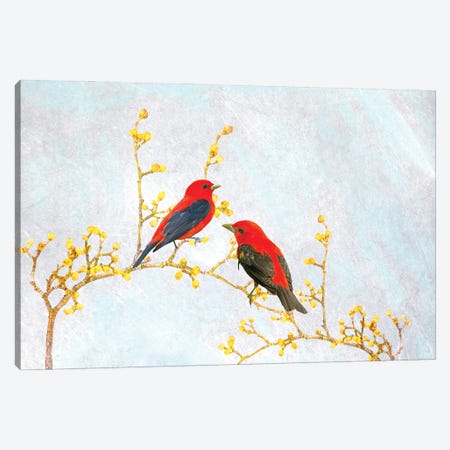 Scarlet Tanagers In Spring Canvas Print #LDY95} by Laura D Young Canvas Art