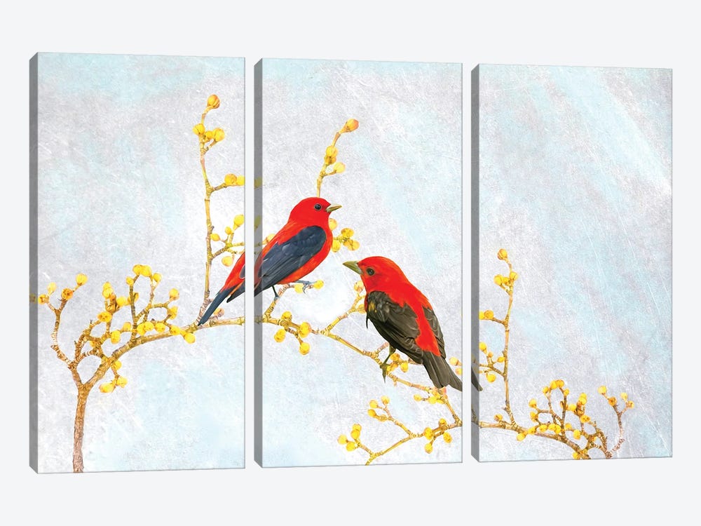 Scarlet Tanagers In Spring by Laura D Young 3-piece Canvas Art Print
