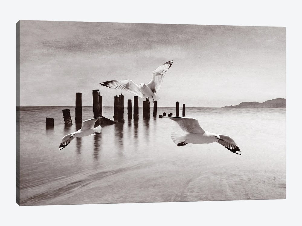 Seagulls In Flight At Ocean BW by Laura D Young 1-piece Canvas Wall Art