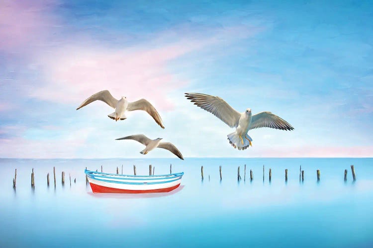 Seagulls And Blue Boat