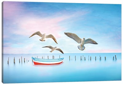 Seagulls And Blue Boat Canvas Art Print - Laura D Young