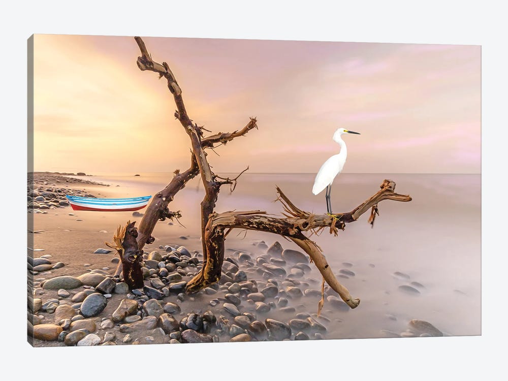 Snowy Egret In The Tree by Laura D Young 1-piece Canvas Artwork