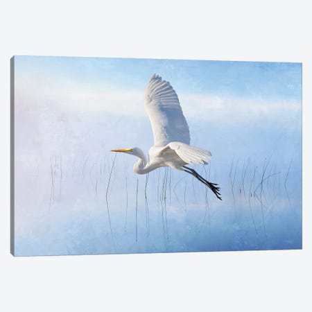 Snowy Egret Flying Over Misty Marshes Canvas Print #LDY99} by Laura D Young Canvas Art Print