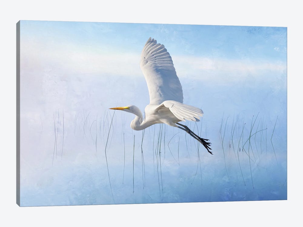 Snowy Egret Flying Over Misty Marshes by Laura D Young 1-piece Canvas Art Print