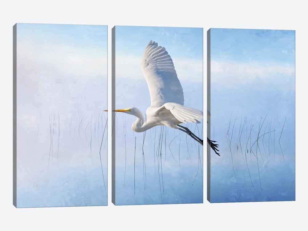 Snowy Egret Flying Over Misty Marshes by Laura D Young 3-piece Art Print