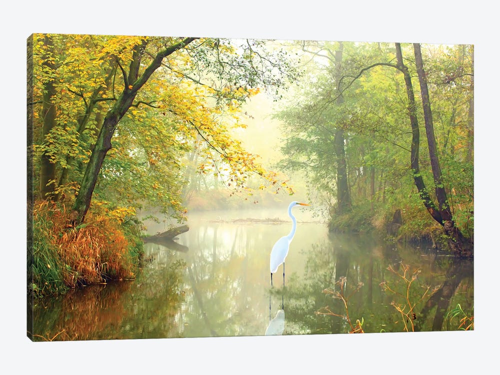 Great White Egret At Autumn Pond by Laura D Young 1-piece Canvas Print