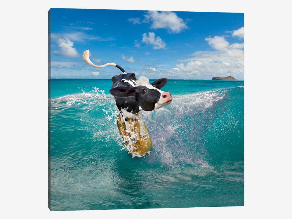Cowabunga by Lund Roeser 1-piece Canvas Wall Art