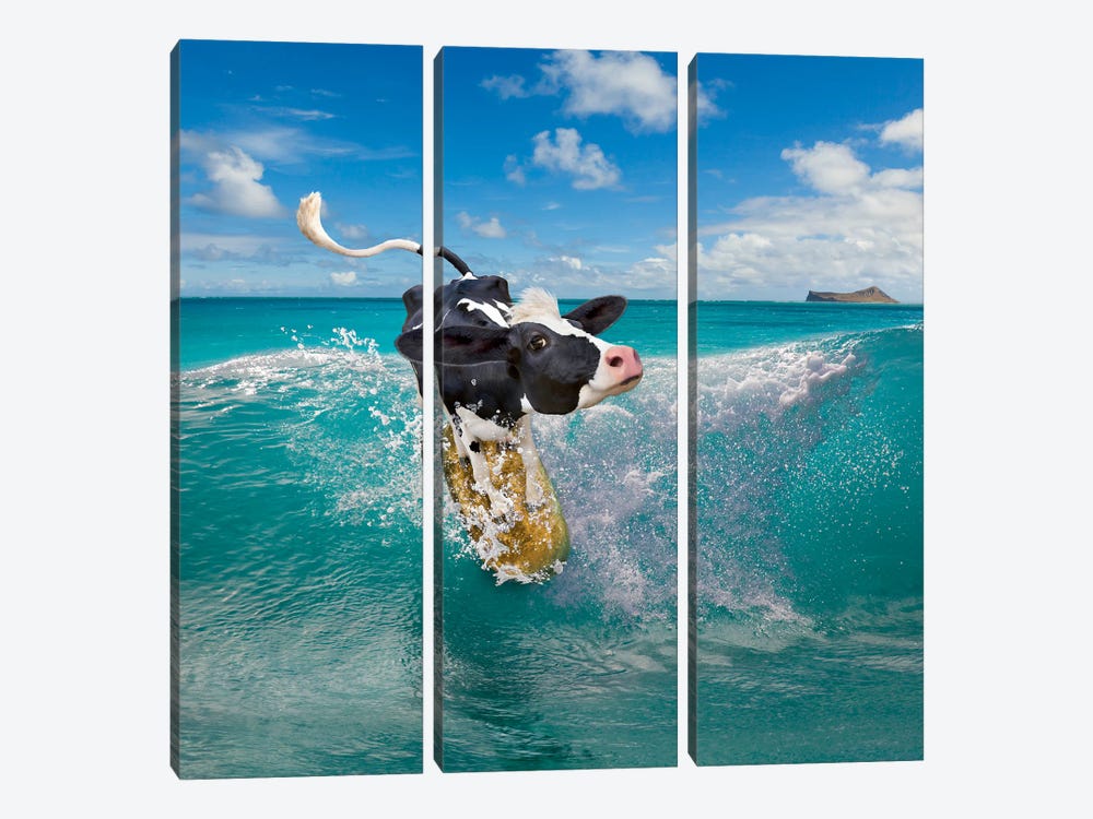 Cowabunga by Lund Roeser 3-piece Canvas Art