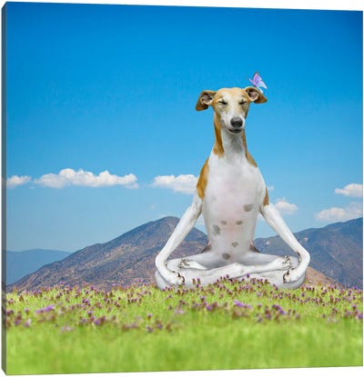 Peaceful Pup Canvas Art Print - Yoga Art