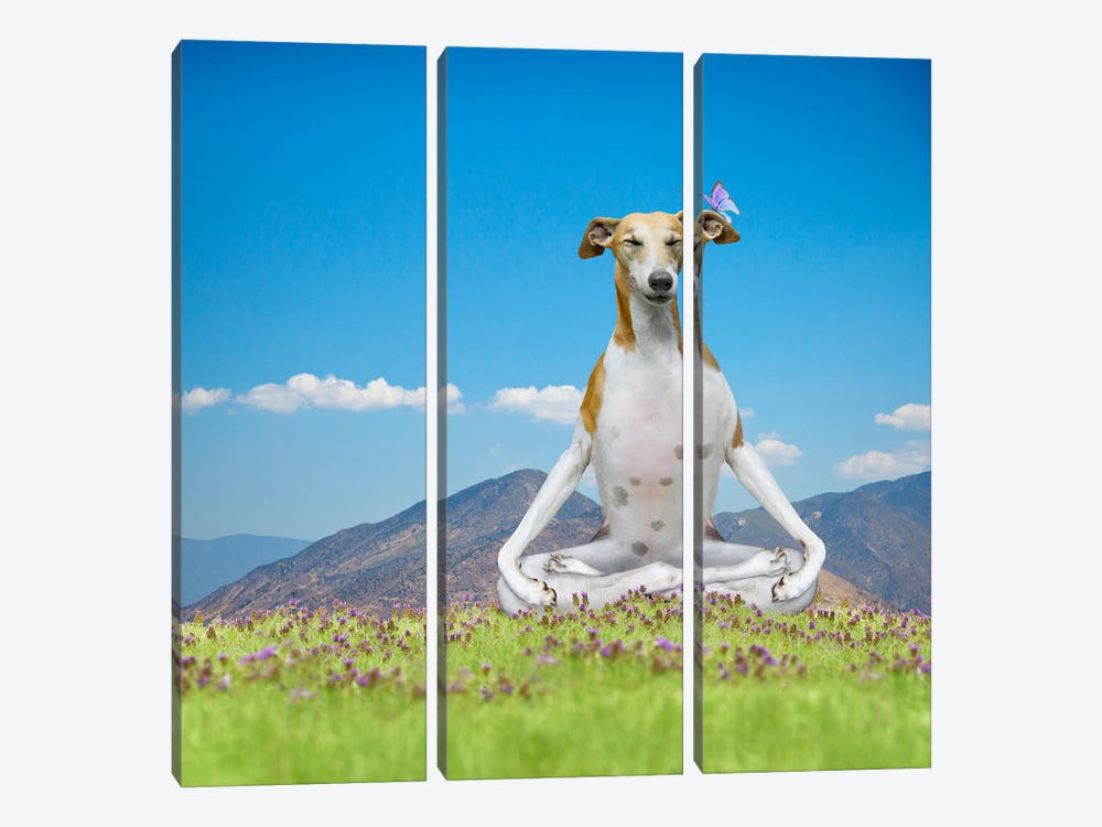 Peaceful Pup by Lund Roeser 3-piece Canvas Wall Art