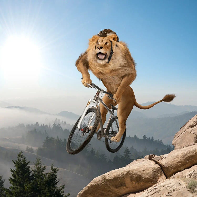 Mountain (Biking) Lion - Playing It Safe