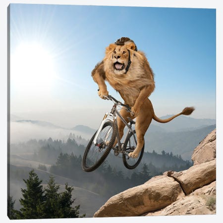 Mountain (Biking) Lion - Playing It Safe Canvas Print #LDZ108} by Lund Roeser Canvas Art