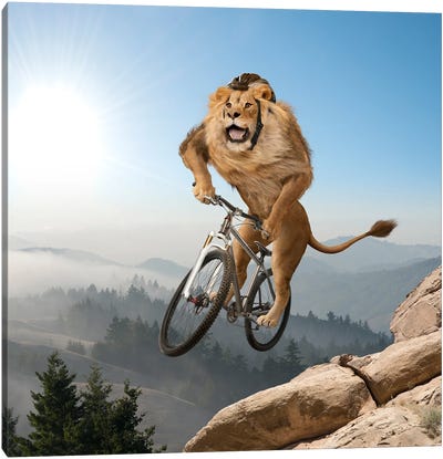 Mountain (Biking) Lion - Playing It Safe Canvas Art Print - Lund Roeser