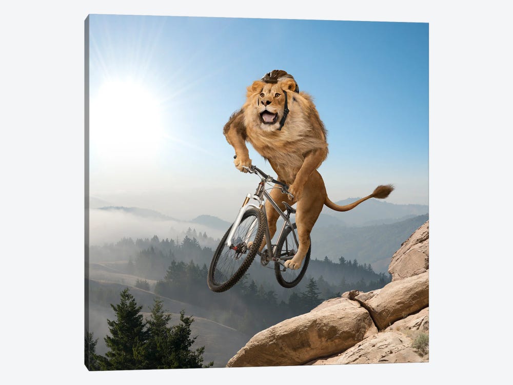 Mountain (Biking) Lion - Playing It Safe by Lund Roeser 1-piece Art Print