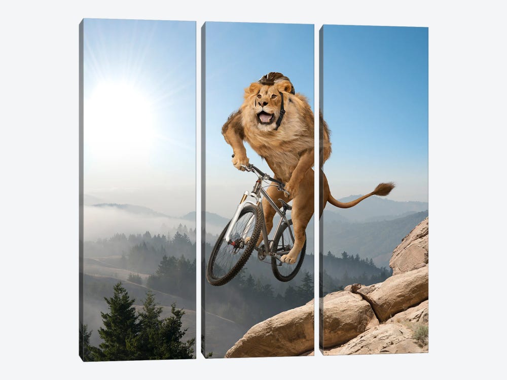 Mountain (Biking) Lion - Playing It Safe by Lund Roeser 3-piece Art Print