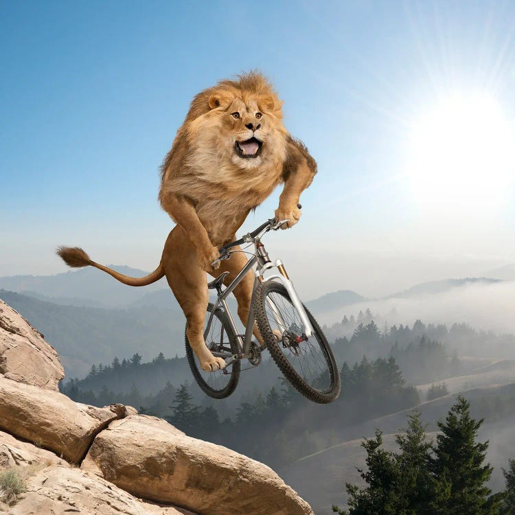 Mountain (Biking) Lion