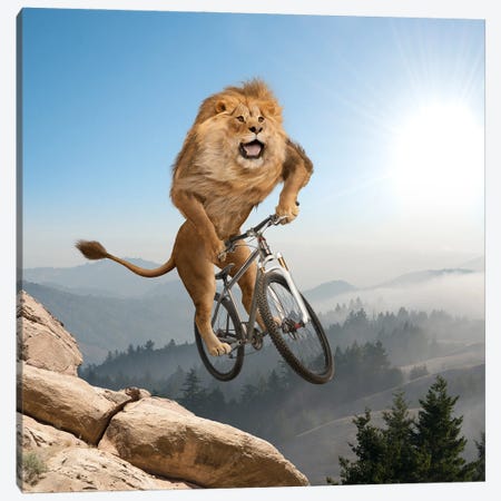 Mountain (Biking) Lion Canvas Print #LDZ113} by Lund Roeser Art Print