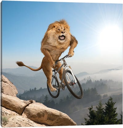 Mountain (Biking) Lion Canvas Art Print - Cycling Art
