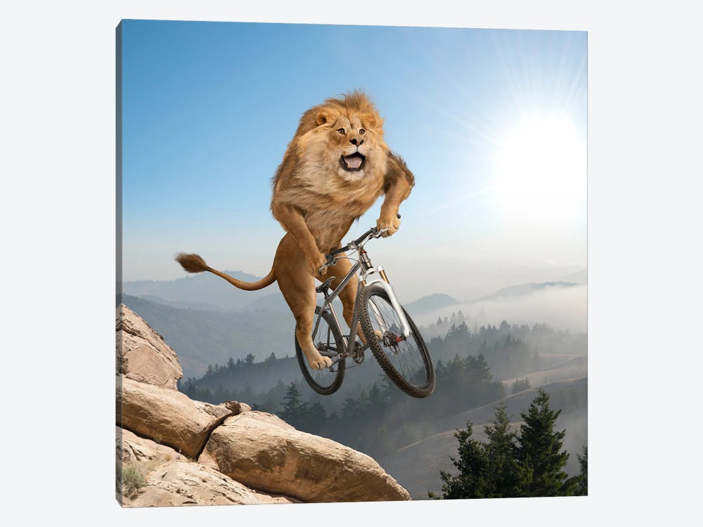 Mountain (Biking) Lion by Lund Roeser 1-piece Canvas Print