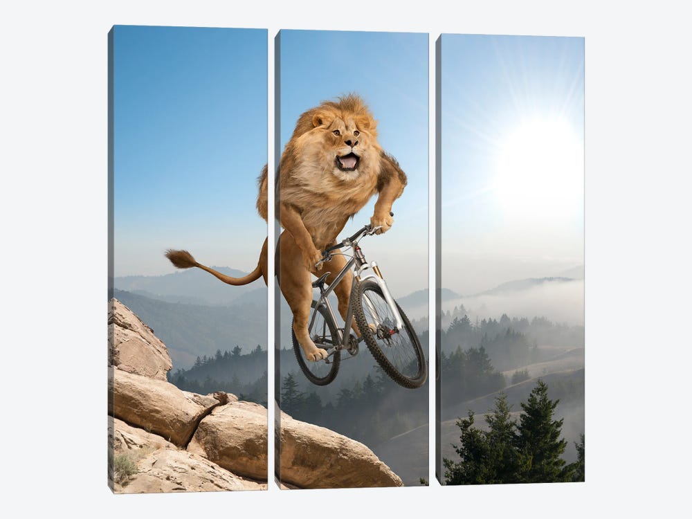 Mountain (Biking) Lion by Lund Roeser 3-piece Canvas Print