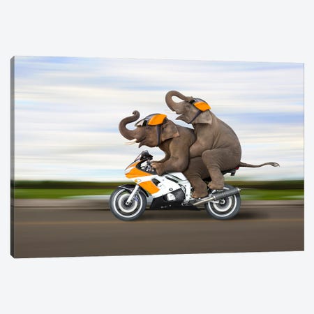 Elephant Excursion Canvas Print #LDZ114} by Lund Roeser Canvas Wall Art