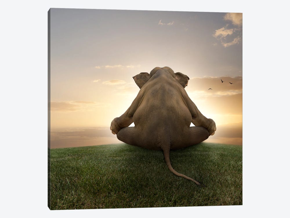 Meditating Elephant by Lund Roeser 1-piece Canvas Print