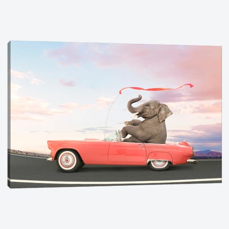 Low Rider Canvas Print #LDZ118} by Lund Roeser Canvas Print