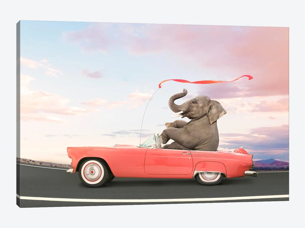 Low Rider by Lund Roeser 1-piece Canvas Art