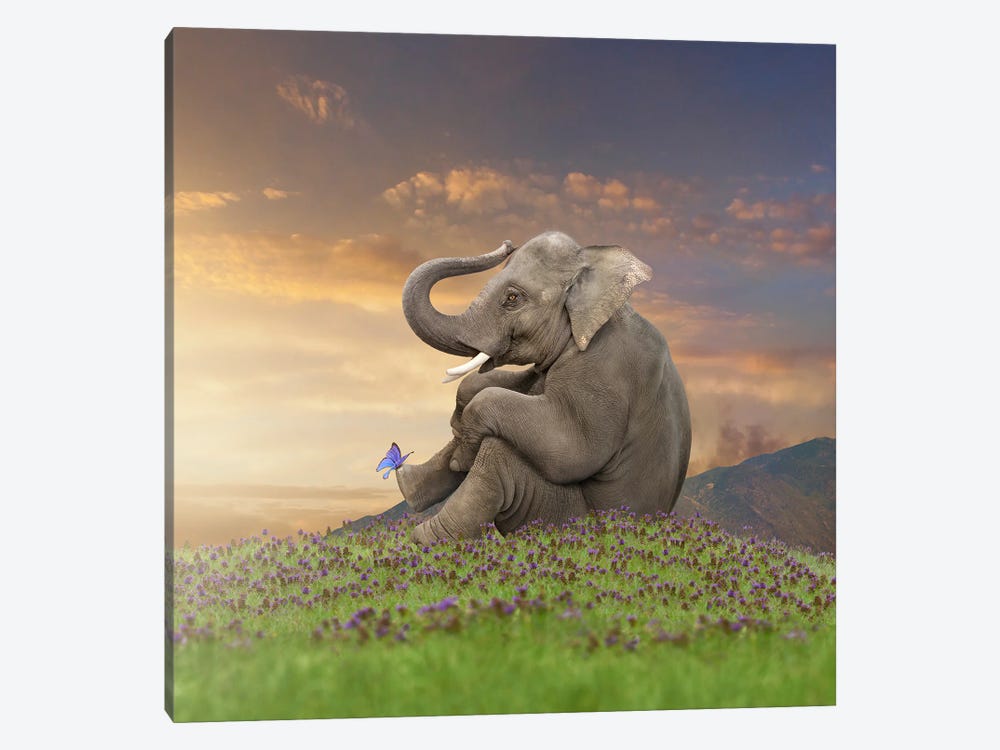 Peaceful Pachyderm by Lund Roeser 1-piece Canvas Art Print